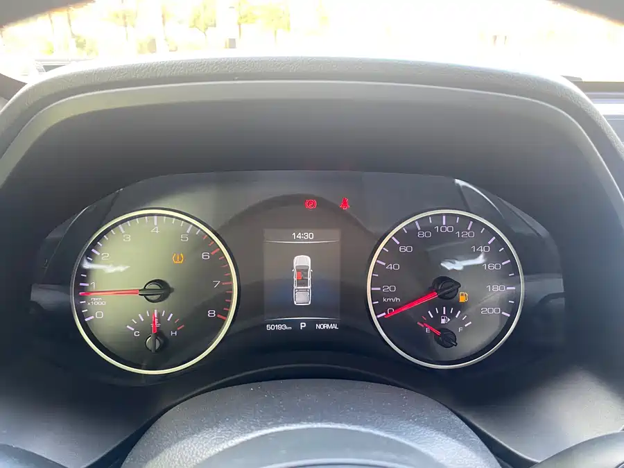 Used GWM Cannon 2019 2.0T commercial version automatic gasoline two-wheel drive elite long box GW4C20B