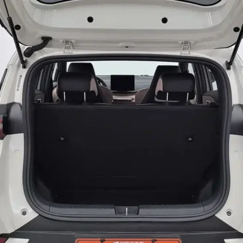 Used BYD Seagull 2023 Flying Edition