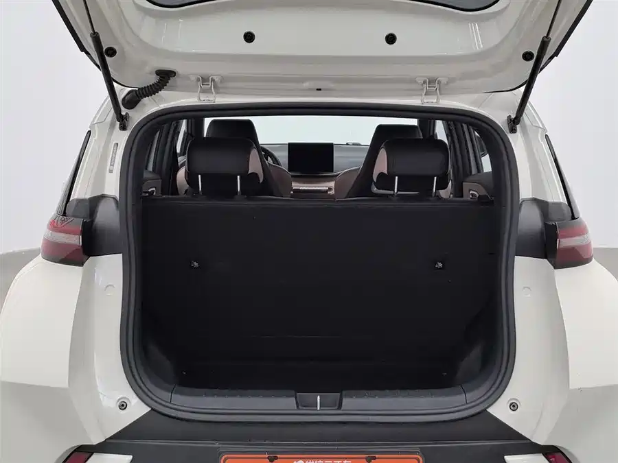 Used BYD Seagull 2023 Flying Edition