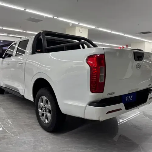 Used GWM Cannon 2023 2.0T commercial version manual diesel four-wheel drive elite standard box GW4D20M