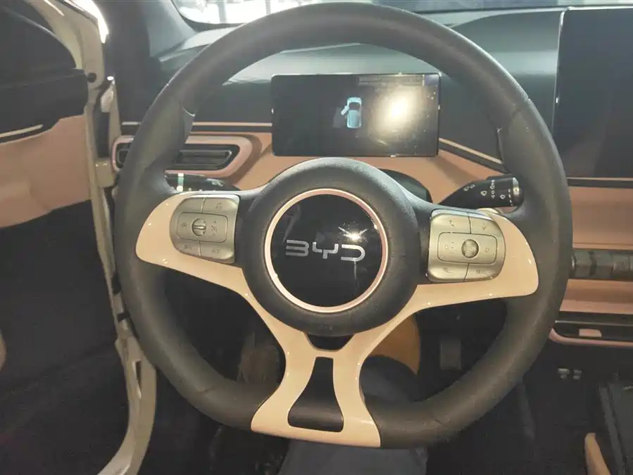 Used BYD Seagull 2025 305km active version