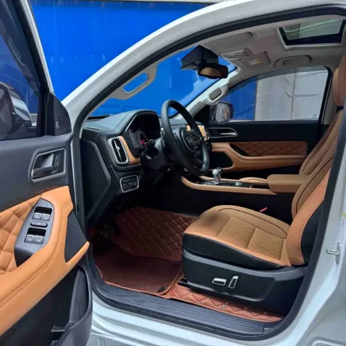 Used GWM Cannon 2021 2.0T passenger global version automatic gasoline four-wheel drive sports standard box GW4C20B