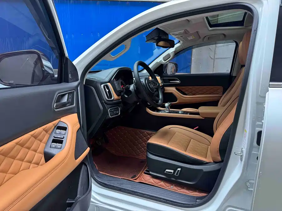 Used GWM Cannon 2021 2.0T passenger global version automatic gasoline four-wheel drive sports standard box GW4C20B