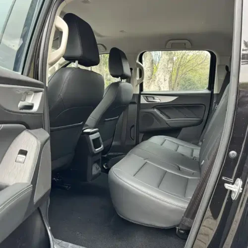 Used GWM Cannon 2019 2.0T commercial version manual gasoline two-wheel drive elite long box GW4C20B