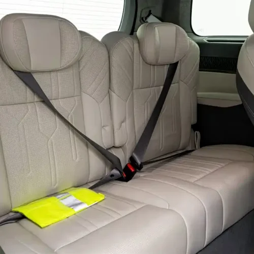 900x675_0_q87_c42_autohomecar__ChxpWGmxEHeATPX1AAGN6IGHMsI019.jpg.webp Used Zeekr 009 2022 WE version